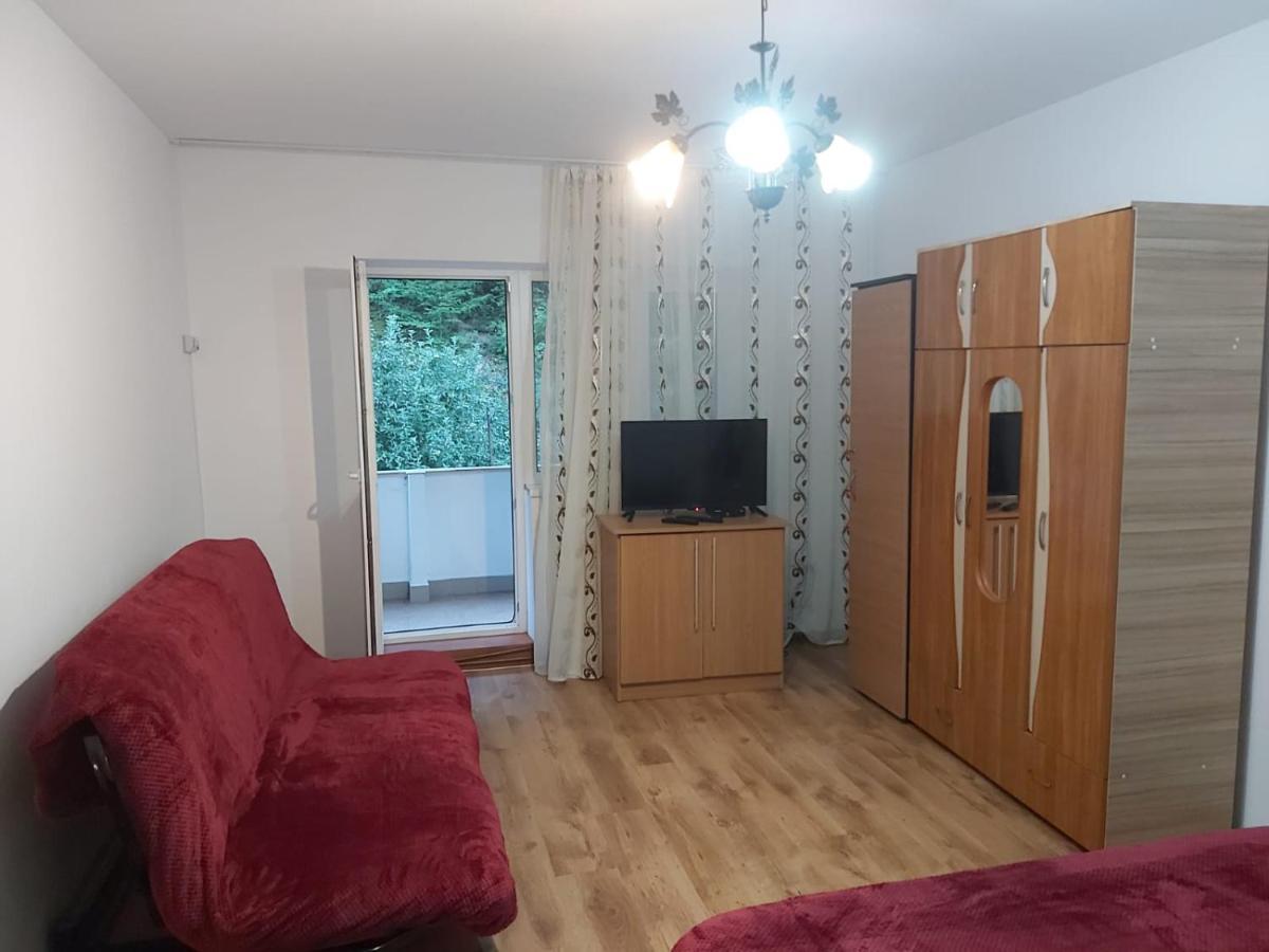 Apartament Nemira Сленік-Молдова Екстер'єр фото