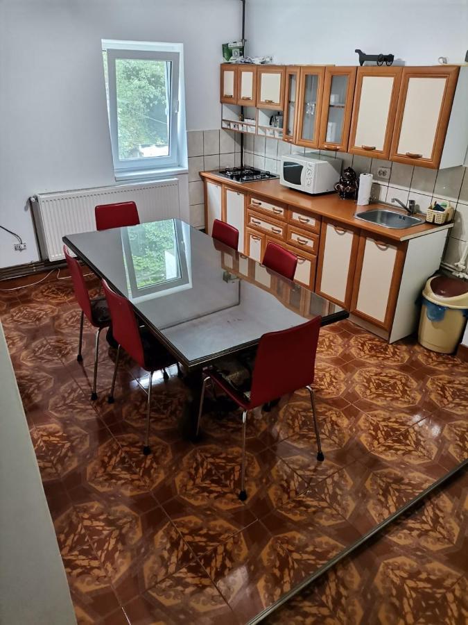 Apartament Nemira Сленік-Молдова Екстер'єр фото