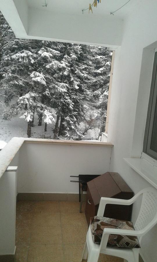 Apartament Nemira Сленік-Молдова Екстер'єр фото